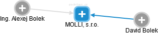 MOLLI, s.r.o. - náhled vizuálního zobrazení vztahů obchodního rejstříku
