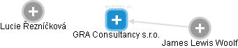 GRA Consultancy s.r.o. - náhled vizuálního zobrazení vztahů obchodního rejstříku