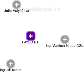 PAYCO a.s. - náhled vizuálního zobrazení vztahů obchodního rejstříku