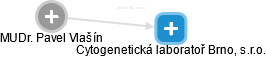 Cytogenetická laboratoř Brno, s.r.o. - náhled vizuálního zobrazení vztahů obchodního rejstříku