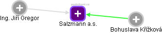 Salzmann a.s. - náhled vizuálního zobrazení vztahů obchodního rejstříku