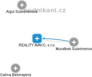 REALITY AVAKO, s.r.o. - náhled vizuálního zobrazení vztahů obchodního rejstříku