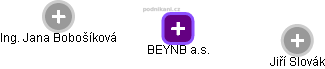 BEYNB a.s. - náhled vizuálního zobrazení vztahů obchodního rejstříku