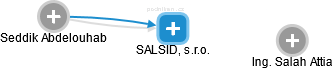 SALSID, s.r.o. - náhled vizuálního zobrazení vztahů obchodního rejstříku