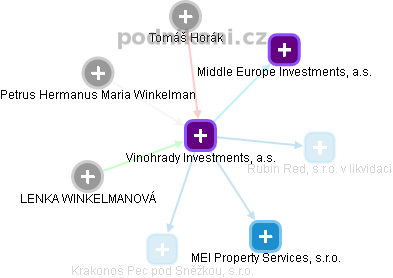 Vinohrady Investments, a.s. - náhled vizuálního zobrazení vztahů obchodního rejstříku