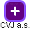 CVJ a.s. - náhled vizuálního zobrazení vztahů obchodního rejstříku
