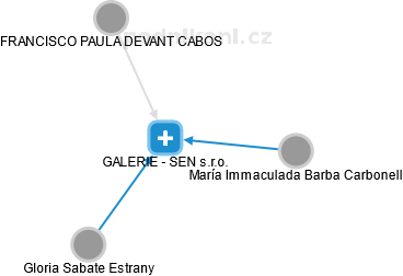 GALERIE - SEN s.r.o. - náhled vizuálního zobrazení vztahů obchodního rejstříku