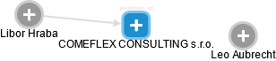 COMEFLEX CONSULTING s.r.o. - náhled vizuálního zobrazení vztahů obchodního rejstříku