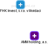 AMM holding, a.s. - náhled vizuálního zobrazení vztahů obchodního rejstříku