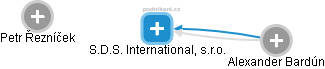 S.D.S. International, s.r.o. - náhled vizuálního zobrazení vztahů obchodního rejstříku