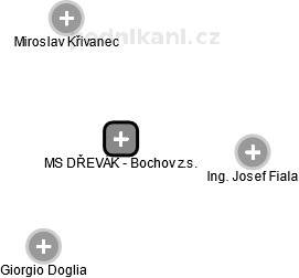 MS DŘEVÁK - Bochov z.s. - náhled vizuálního zobrazení vztahů obchodního rejstříku