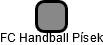 FC Handball Písek - náhled vizuálního zobrazení vztahů obchodního rejstříku
