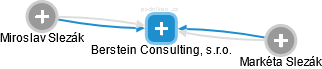 Berstein Consulting, s.r.o. - náhled vizuálního zobrazení vztahů obchodního rejstříku