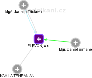 ELEVON, a.s. - náhled vizuálního zobrazení vztahů obchodního rejstříku