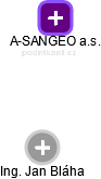 A-SANGEO a.s. - náhled vizuálního zobrazení vztahů obchodního rejstříku