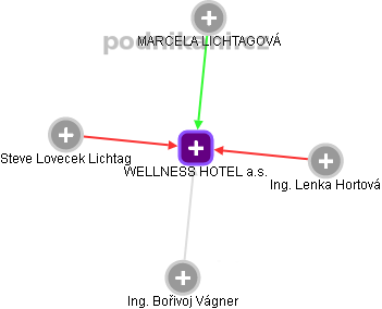 WELLNESS HOTEL a.s. - náhled vizuálního zobrazení vztahů obchodního rejstříku