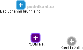 IPSUM a.s. - náhled vizuálního zobrazení vztahů obchodního rejstříku