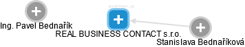 REAL BUSINESS CONTACT s.r.o. - náhled vizuálního zobrazení vztahů obchodního rejstříku