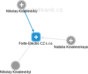 Forte-Electro CZ s.r.o. - náhled vizuálního zobrazení vztahů obchodního rejstříku