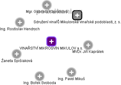 VINAŘSTVÍ MIKROSVÍN MIKULOV a.s. - náhled vizuálního zobrazení vztahů obchodního rejstříku