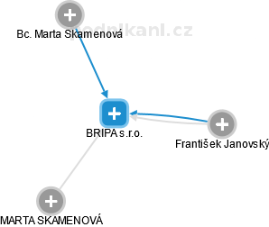 BRIPA s.r.o. - náhled vizuálního zobrazení vztahů obchodního rejstříku