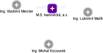 M.S. Ivanovická, a.s. - náhled vizuálního zobrazení vztahů obchodního rejstříku