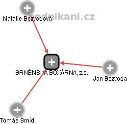 BRNĚNSKÁ BOXÁRNA, z.s. - náhled vizuálního zobrazení vztahů obchodního rejstříku