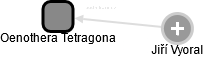 Oenothera Tetragona - náhled vizuálního zobrazení vztahů obchodního rejstříku