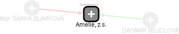Amelie, z.s. - náhled vizuálního zobrazení vztahů obchodního rejstříku