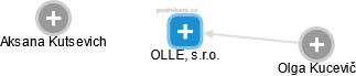 OLLE,  s.r.o. - náhled vizuálního zobrazení vztahů obchodního rejstříku