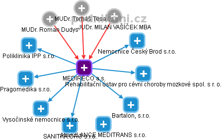 MEDIRECO a.s. - náhled vizuálního zobrazení vztahů obchodního rejstříku