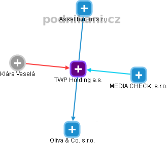 TWP Holding a.s. - náhled vizuálního zobrazení vztahů obchodního rejstříku