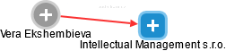 Intellectual Management s.r.o. - náhled vizuálního zobrazení vztahů obchodního rejstříku