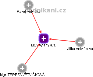 MSV výtahy a.s. - náhled vizuálního zobrazení vztahů obchodního rejstříku