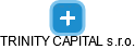 TRINITY CAPITAL s.r.o. - náhled vizuálního zobrazení vztahů obchodního rejstříku