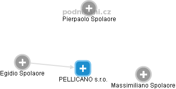 PELLICANO s.r.o. - náhled vizuálního zobrazení vztahů obchodního rejstříku
