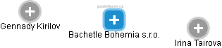 Bachetle Bohemia s.r.o. - náhled vizuálního zobrazení vztahů obchodního rejstříku