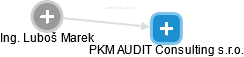 PKM AUDIT Consulting s.r.o. - náhled vizuálního zobrazení vztahů obchodního rejstříku