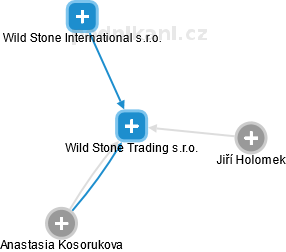Wild Stone Trading s.r.o. - náhled vizuálního zobrazení vztahů obchodního rejstříku