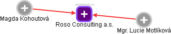 Roso Consulting a.s. - náhled vizuálního zobrazení vztahů obchodního rejstříku
