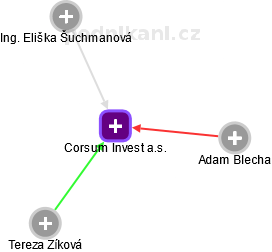 Corsum Invest a.s. - náhled vizuálního zobrazení vztahů obchodního rejstříku