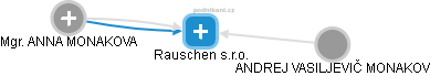 Rauschen s.r.o. - náhled vizuálního zobrazení vztahů obchodního rejstříku
