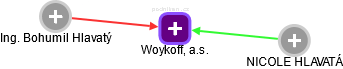 Woykoff, a.s. - náhled vizuálního zobrazení vztahů obchodního rejstříku