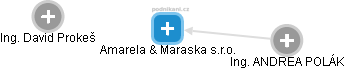 Amarela & Maraska s.r.o. - náhled vizuálního zobrazení vztahů obchodního rejstříku