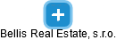 Bellis Real Estate, s.r.o. - náhled vizuálního zobrazení vztahů obchodního rejstříku