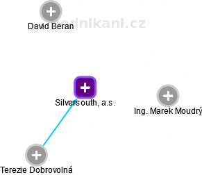 Silversouth, a.s. - náhled vizuálního zobrazení vztahů obchodního rejstříku