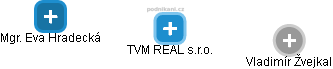 TVM REAL s.r.o. - náhled vizuálního zobrazení vztahů obchodního rejstříku