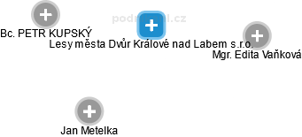 Lesy města Dvůr Králové nad Labem s.r.o. - náhled vizuálního zobrazení vztahů obchodního rejstříku