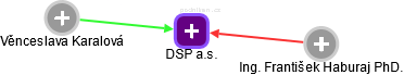 DSP a.s. - náhled vizuálního zobrazení vztahů obchodního rejstříku