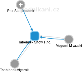 Tabema - Show s.r.o. - náhled vizuálního zobrazení vztahů obchodního rejstříku
